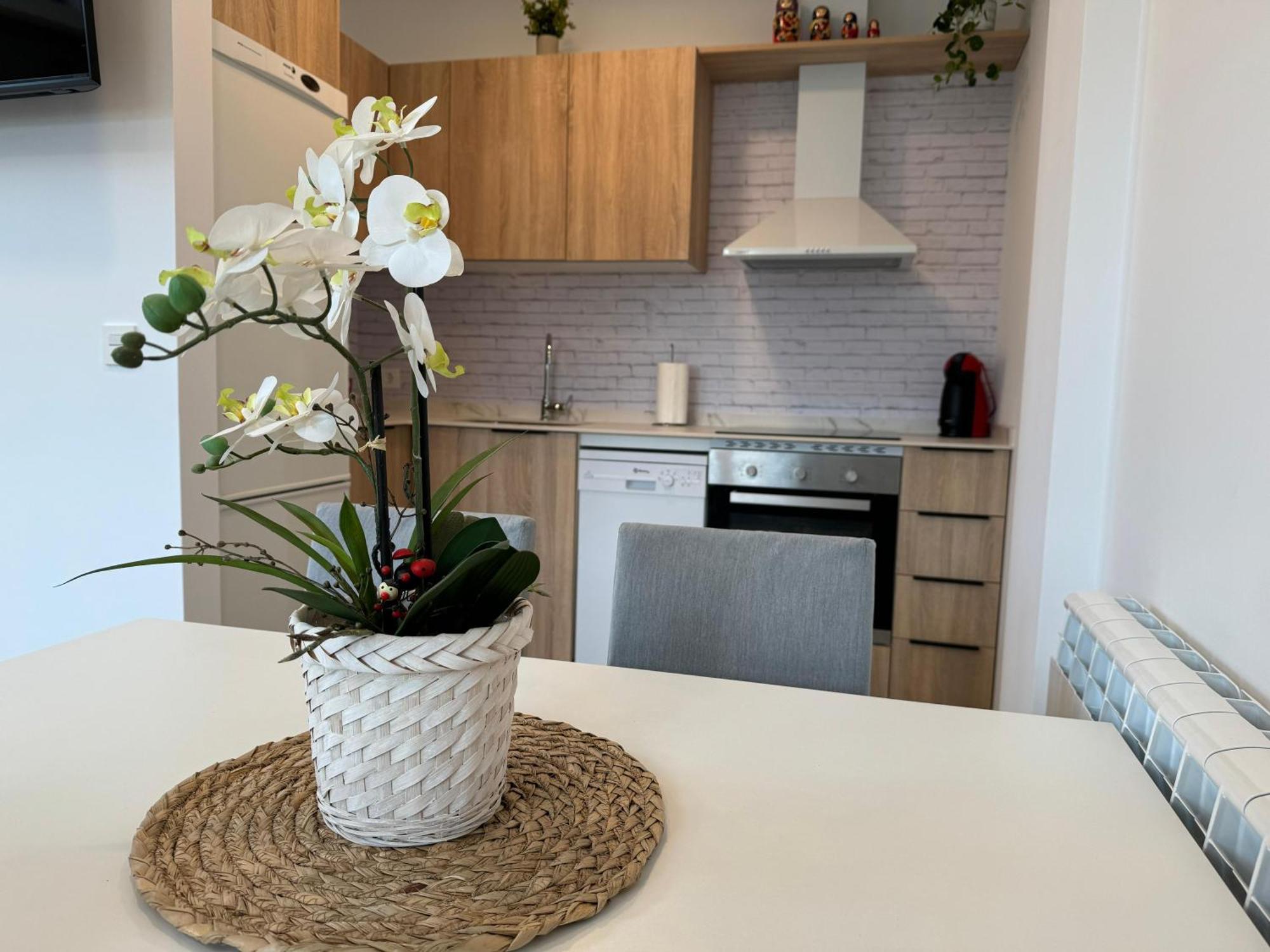 Apartamentos Montejurra Ayegui Bagian luar foto